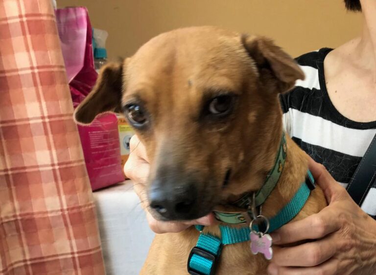 multimedia-foto49150-170-1