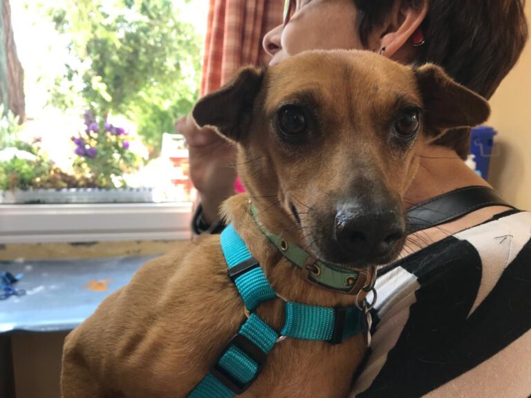 multimedia-foto49151-170-1