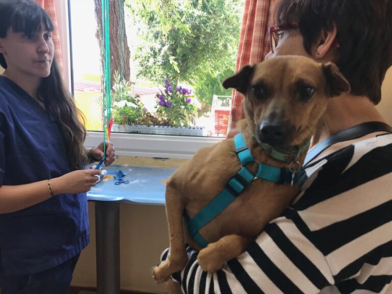 multimedia-foto49152-171-1