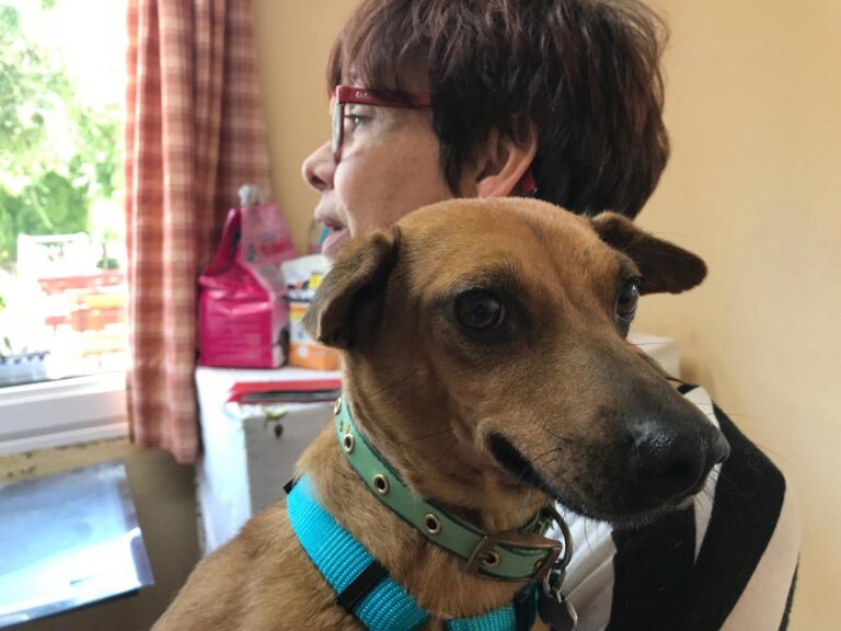 multimedia-foto49153-171-1