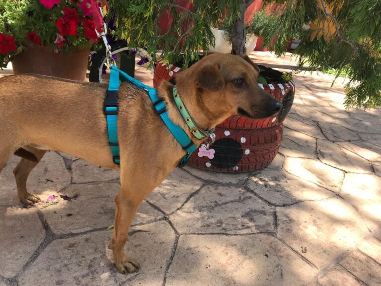 multimedia-foto49154-171-1