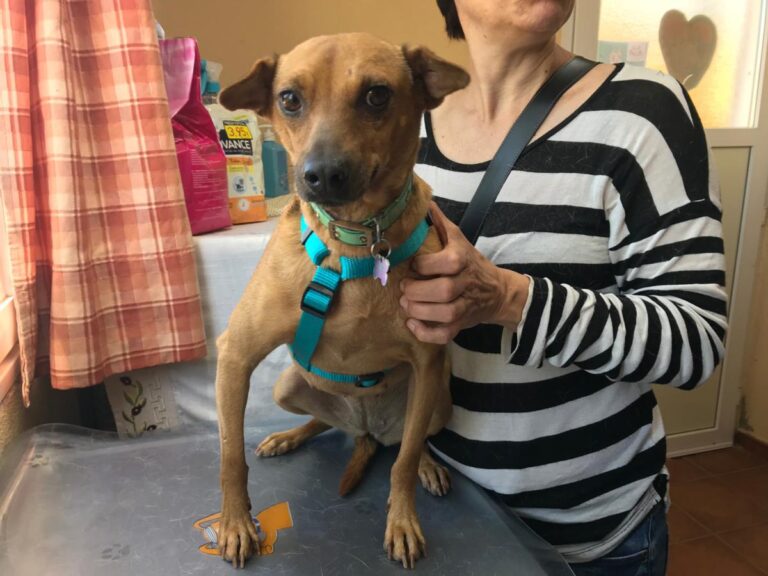 multimedia-foto49155-171-1