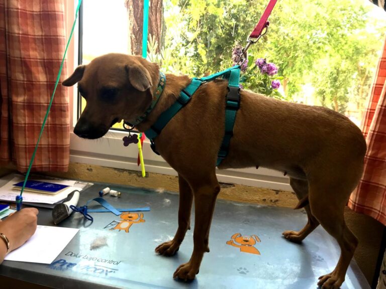 multimedia-foto49156-172-1