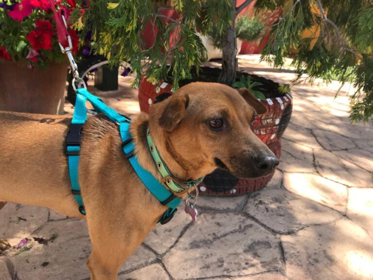 multimedia-foto49157-224-1