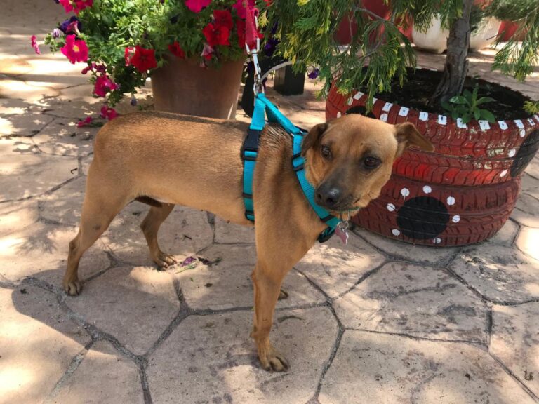 multimedia-foto49158-224-1