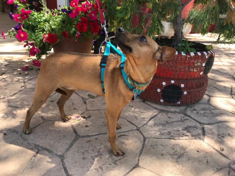 multimedia-foto49159-225-1