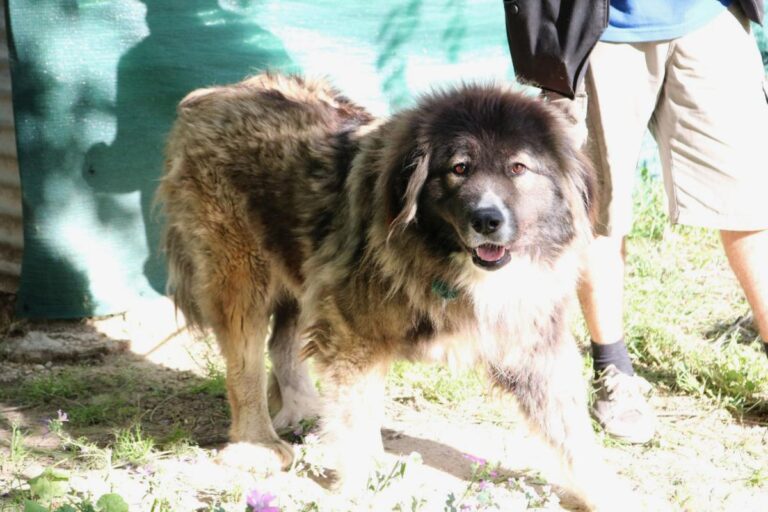 multimedia-foto49166-52-1