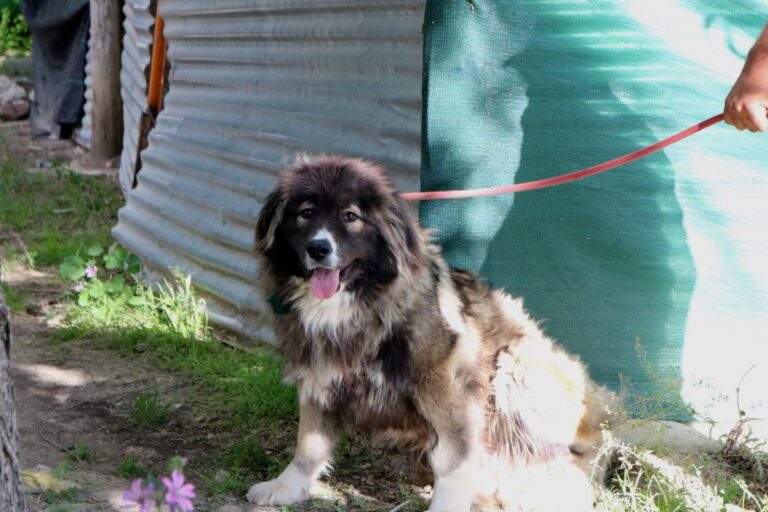 multimedia-foto49167-52-1