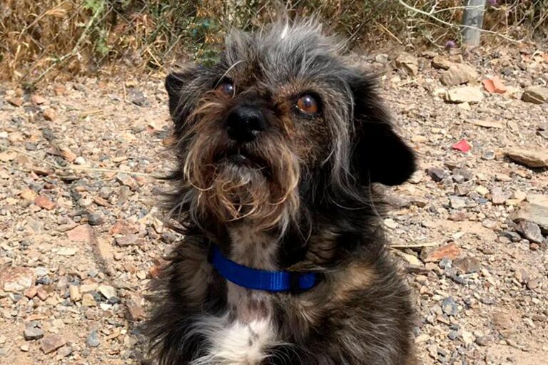 multimedia-foto49168-815-1