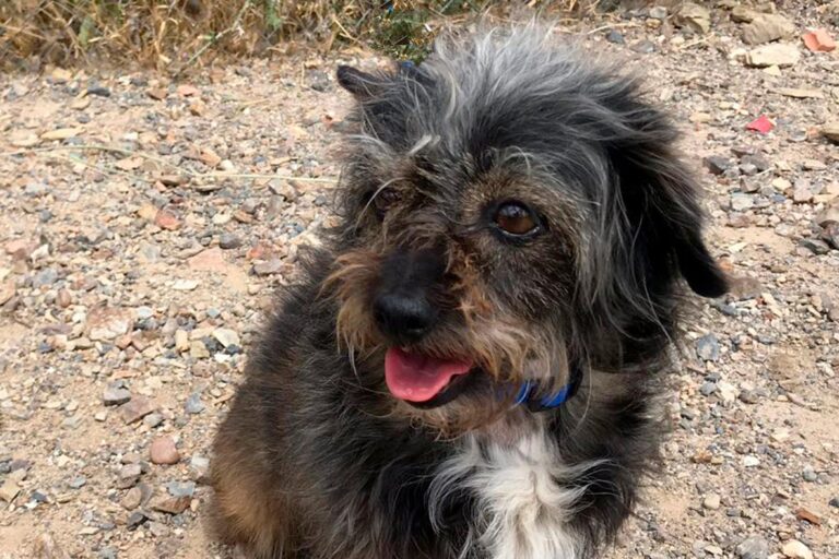 multimedia-foto49169-815-1