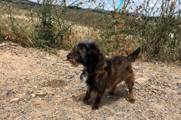 multimedia-foto49170-816-1