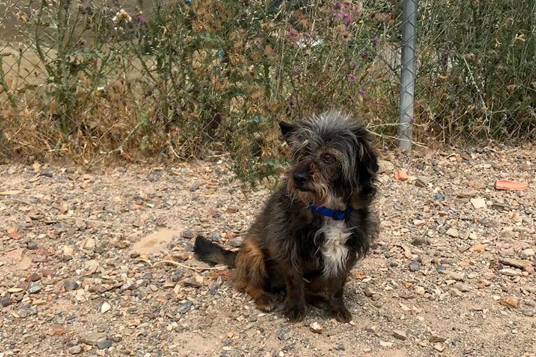 multimedia-foto49171-816-1