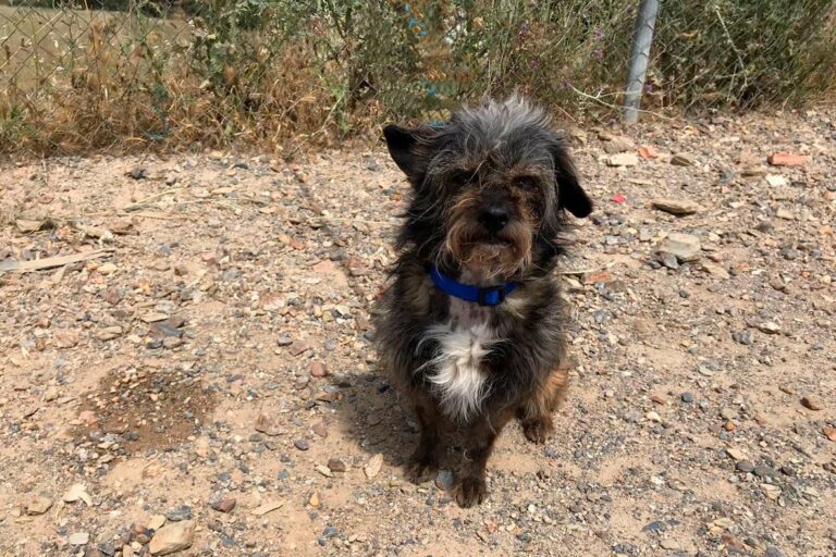 multimedia-foto49173-816-1