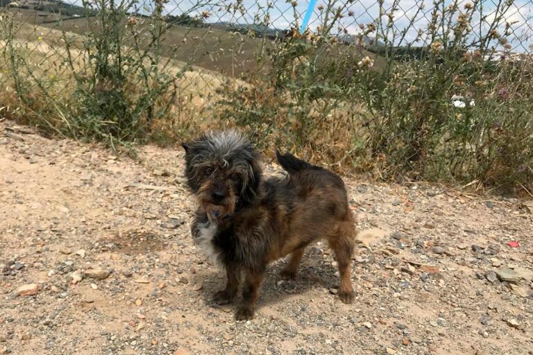 multimedia-foto49174-817-1