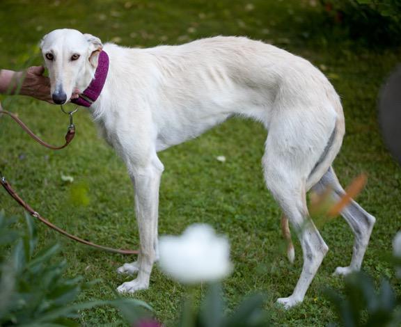 multimedia-foto49182-772-1