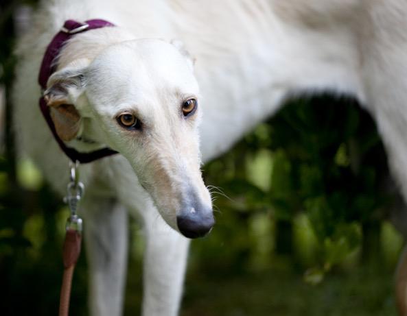 multimedia-foto49186-773-1