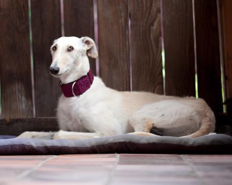 multimedia-foto49189-817-1