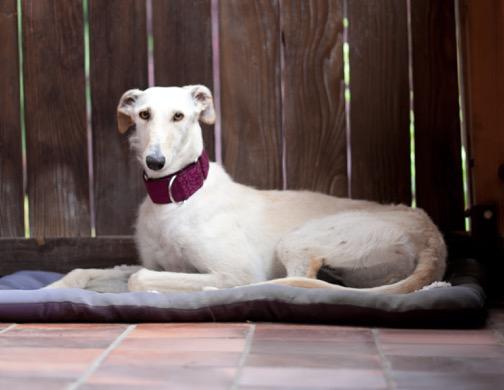 multimedia-foto49190-817-1