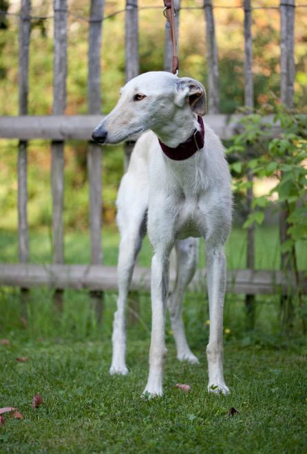 multimedia-foto49192-818-1