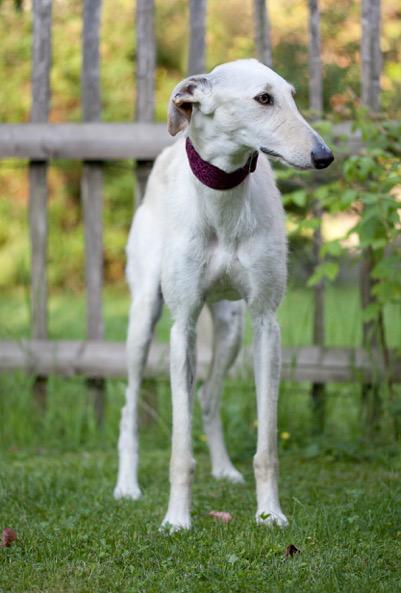 multimedia-foto49193-818-1