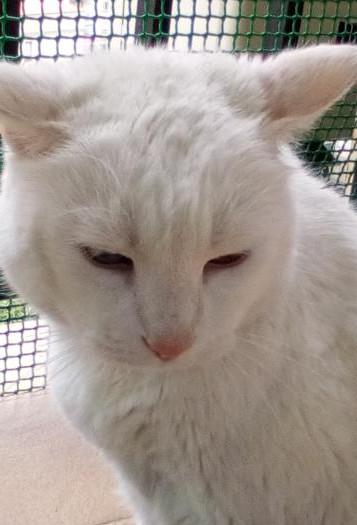 multimedia-foto49209-773-3