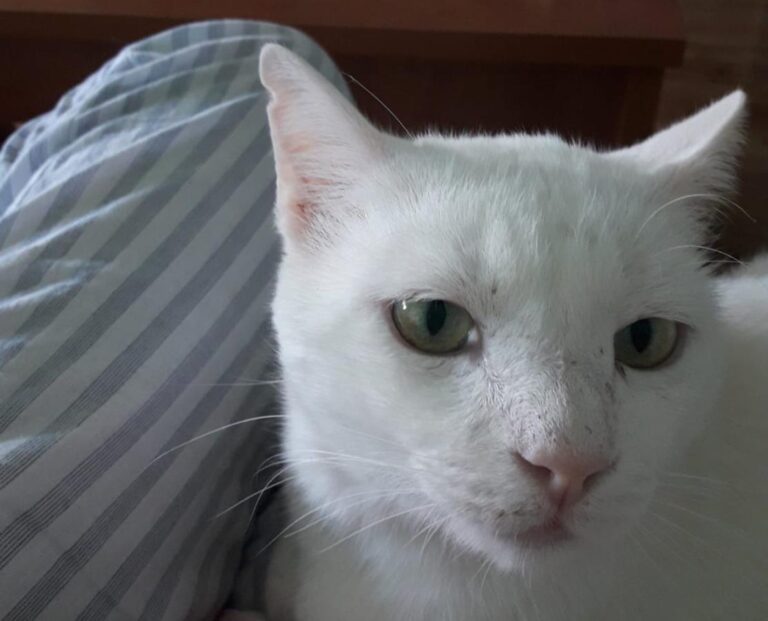 multimedia-foto49221-554-1