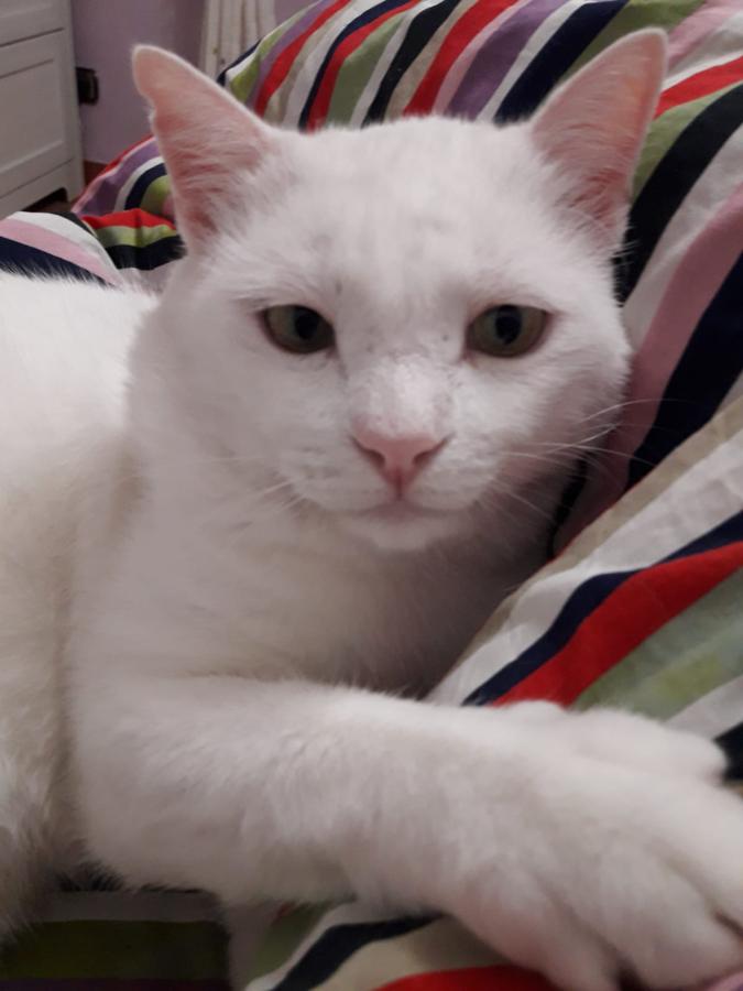 multimedia-foto49222-554-1