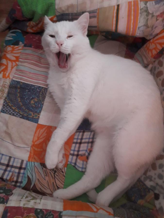 multimedia-foto49224-554-1