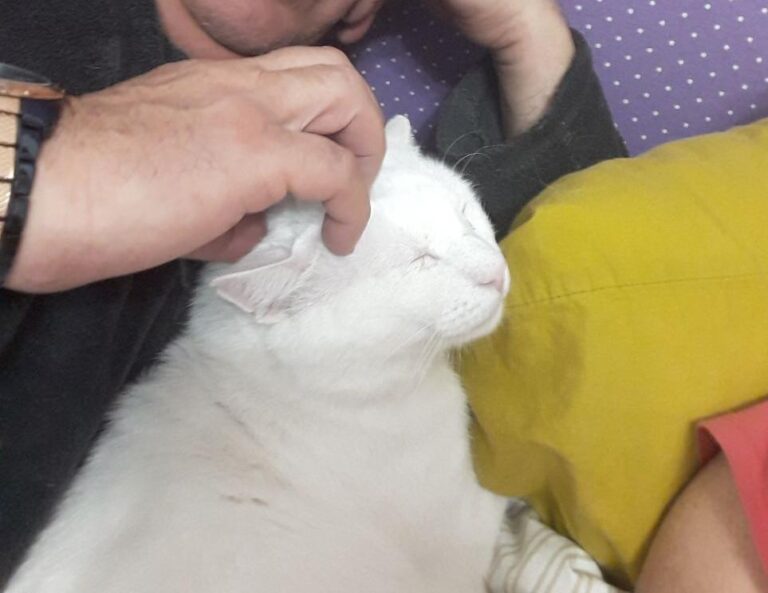 multimedia-foto49225-555-1