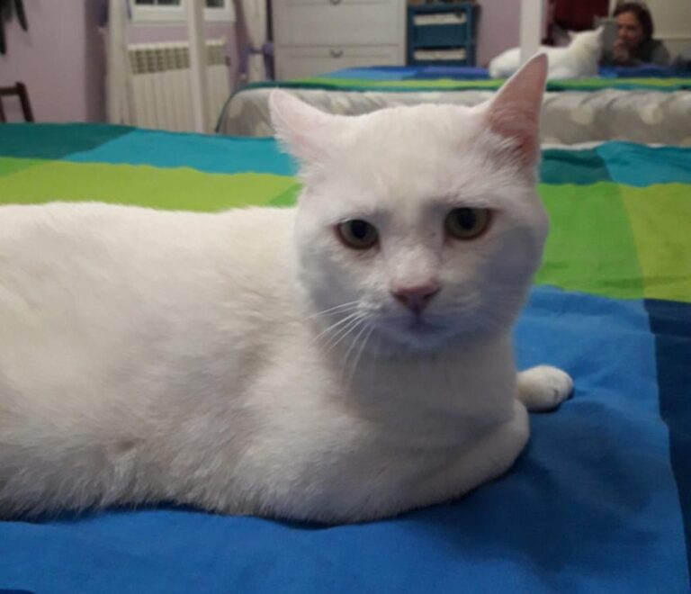 multimedia-foto49228-592-1