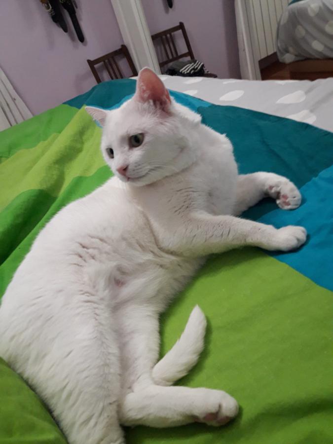 multimedia-foto49229-593-1