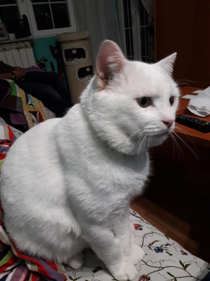 multimedia-foto49232-593-1