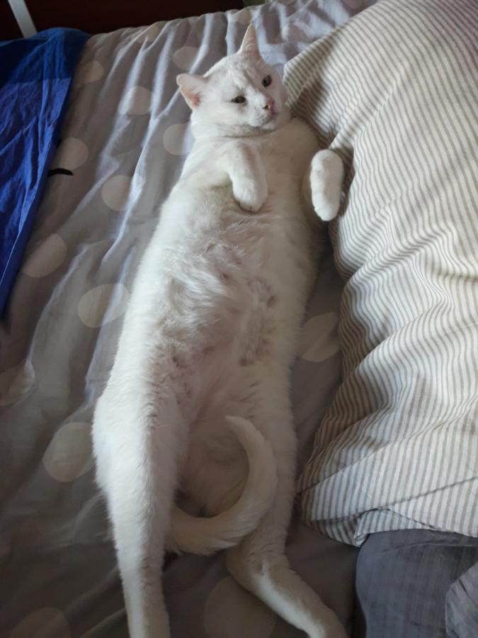 multimedia-foto49233-594-1