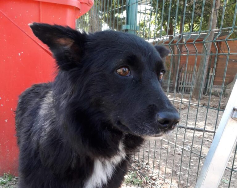 multimedia-foto49235-891-1