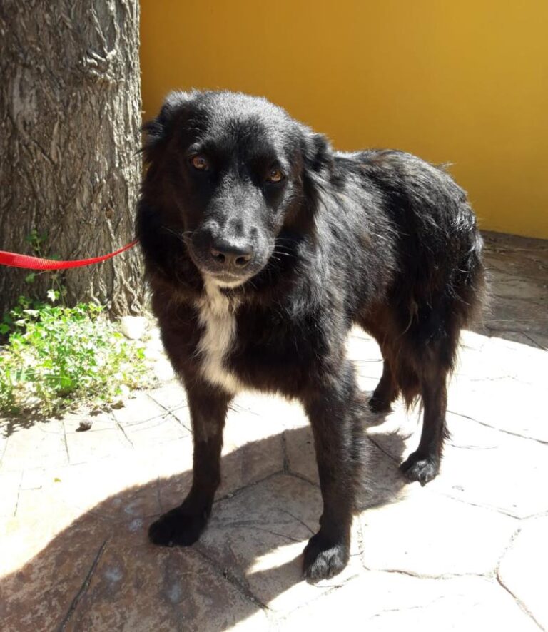 multimedia-foto49236-891-1