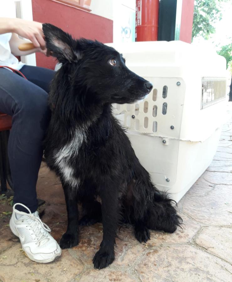 multimedia-foto49237-892-1