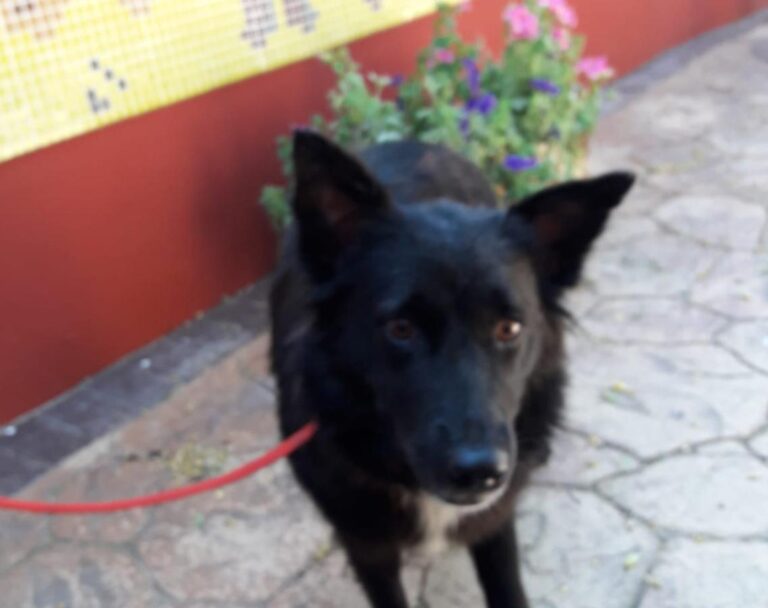 multimedia-foto49238-892-1