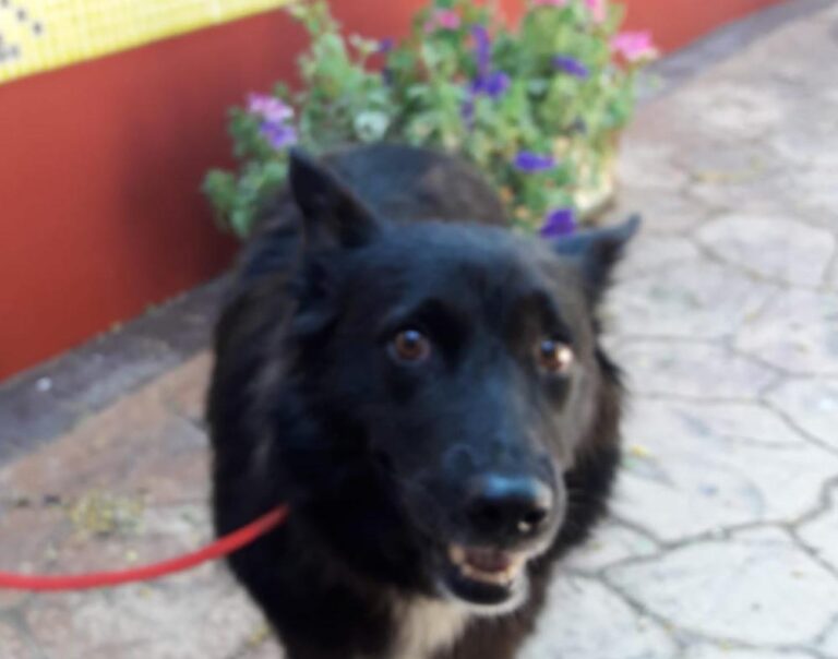 multimedia-foto49239-892-1