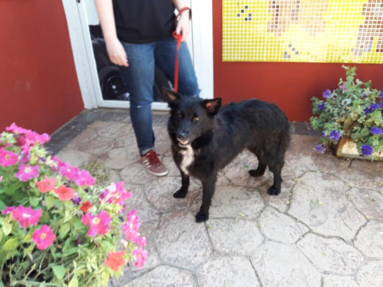 multimedia-foto49240-892-1