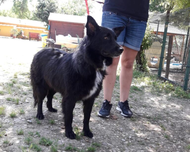 multimedia-foto49241-893-1