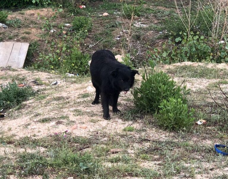 multimedia-foto49243-929-1