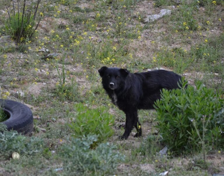 multimedia-foto49244-930-1