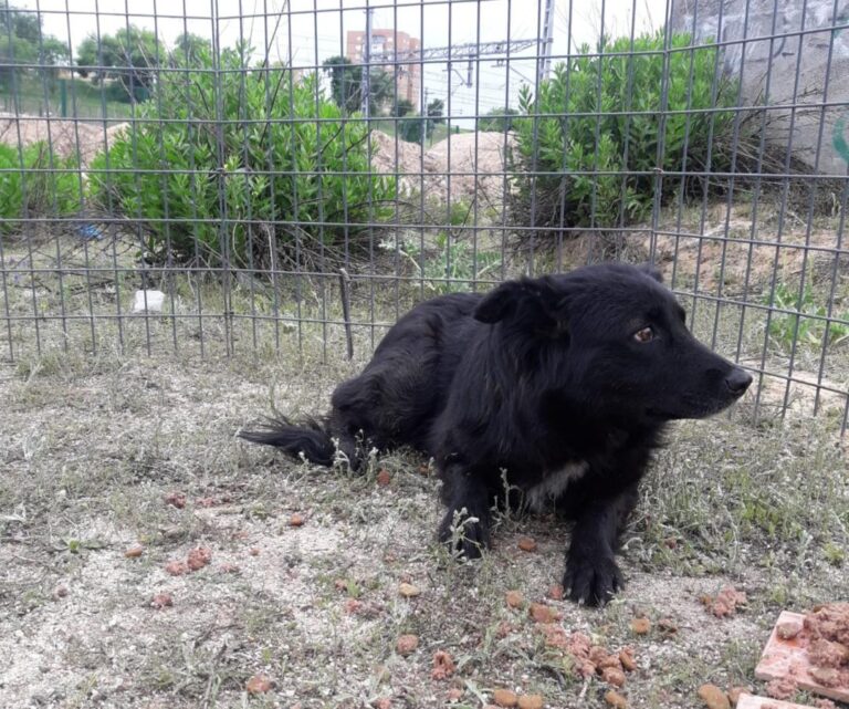 multimedia-foto49245-930-1