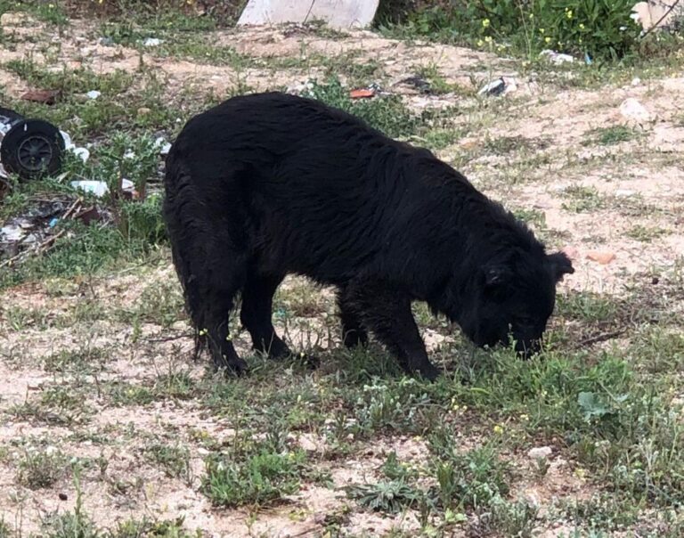 multimedia-foto49246-930-1