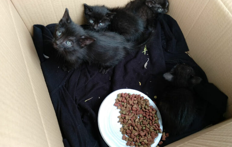 multimedia-foto49422-198-1