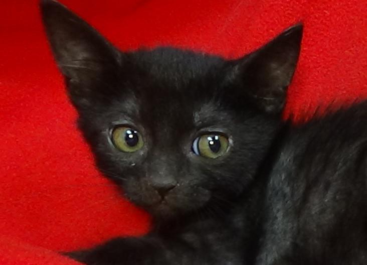 multimedia-foto49428-317-1