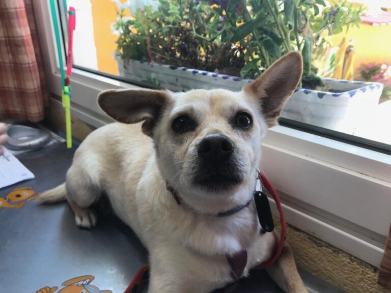 multimedia-foto49444-142-1