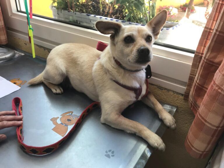 multimedia-foto49446-142-1