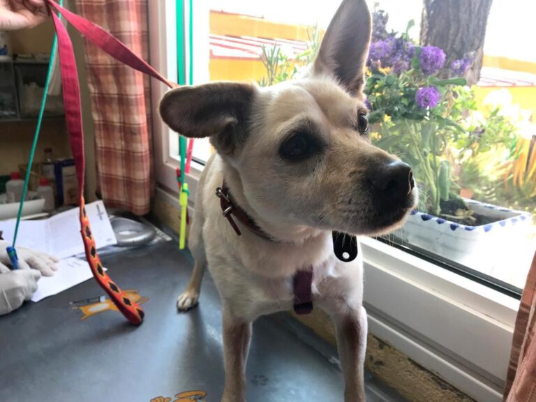 multimedia-foto49447-143-1