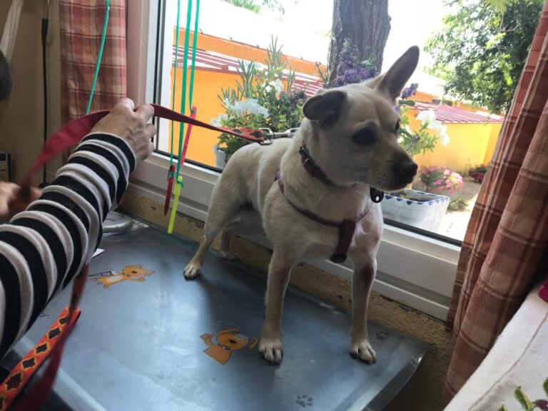 multimedia-foto49448-143-1